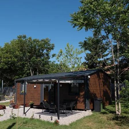 Tisza-tavi Kiserdő * Tiszaderzs